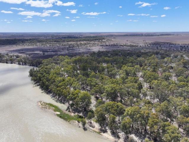 LIVE OR CAMP ON THE MURRAY RIVER