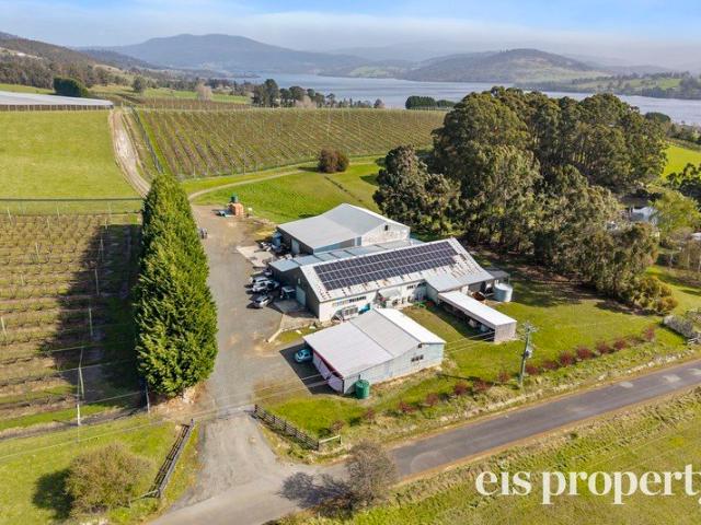 Live Amongst Premium Cherry Orchard in Pristine Region of Tasmania