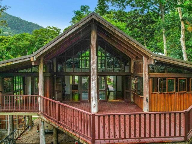 LIVE IN THE RAINFOREST!