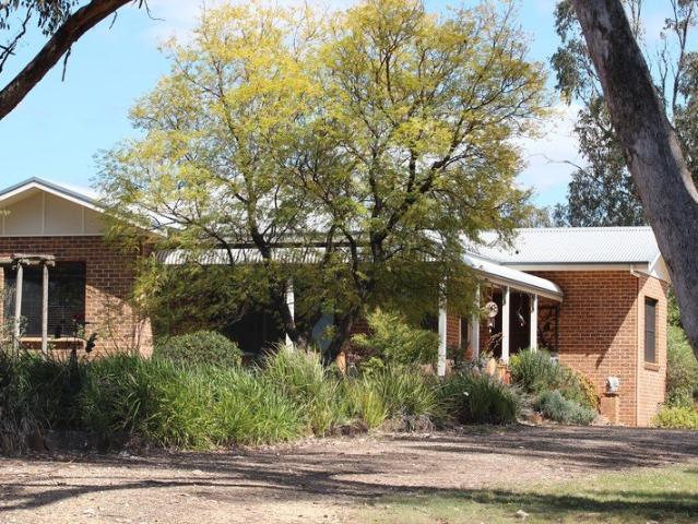 LIVE, LAUGH, LOVE at Triple L on 10 Pictersque Acres