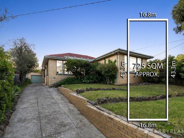 Live, Renovate or Develop in the Beverley Hills Primary & Doncaster Secondary Zones