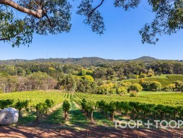 Piccadilly, Adelaide Hills, Adelaide Hills, South Australia