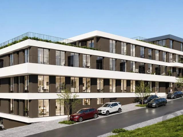 Live Urban: Um Novo Capítulo no Centro de Lousada
