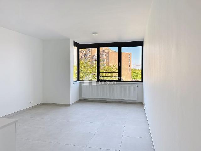 Live with the Owner Studio Apartment
