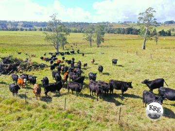 LIVESTOCK, CROPPING & IRRIGATION