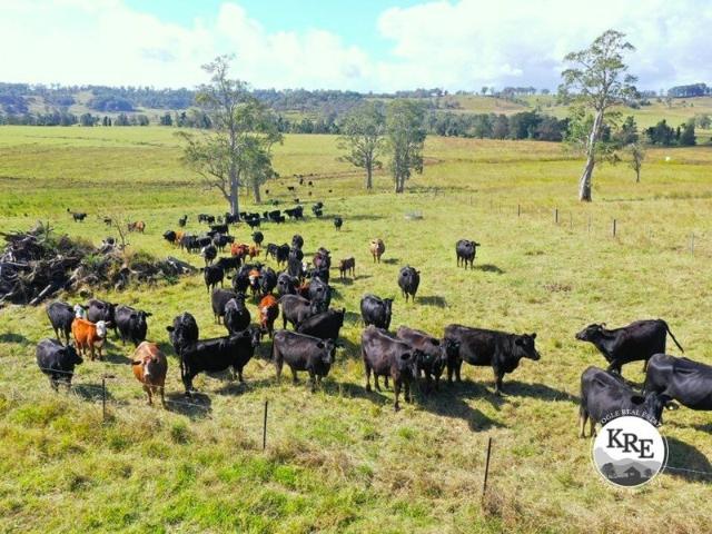 LIVESTOCK, CROPPING & IRRIGATION