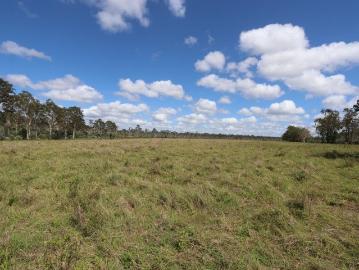 Barren Island, Queensland