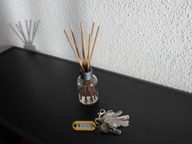 Living at Biebrich Castle Park, Wiesbaden Amsterdam Apartments for Rent