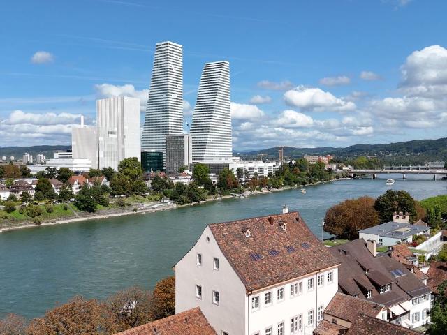 Living Directly on the Rhine St. Alban Tal, Basel Amsterdam Apartments for Rent