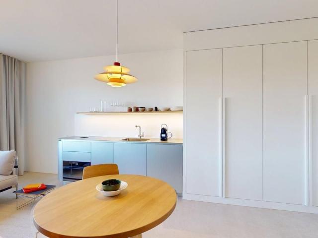 Living Directly on the Rhine St. Alban Tal, Basel Amsterdam Apartments for Rent