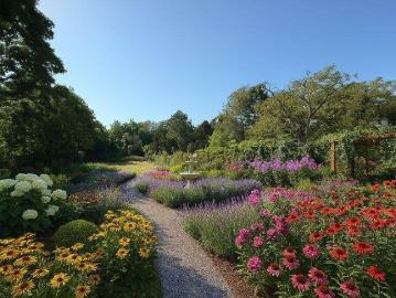 Apartment for sale in 2500 - Terrasse