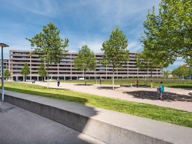 Living in the Urban Centre