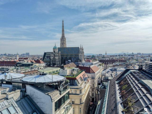 Living the Vienna Dream – super exklusives Penthouse mit Whirlpool & Stephansdom Blick