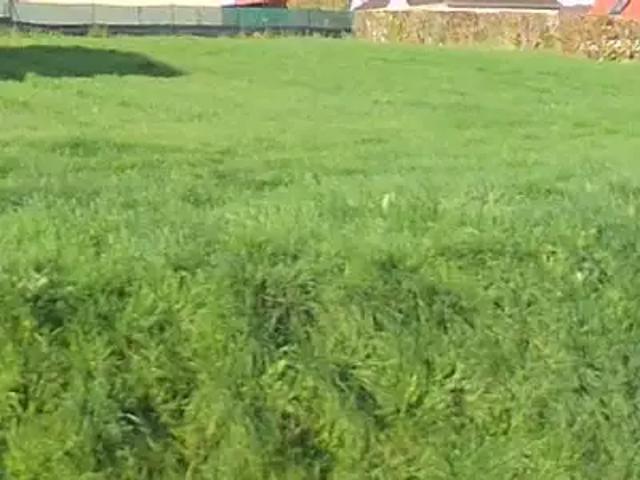 Londinières 76660 Programme neuf maison neuf à vendre 3 pièces