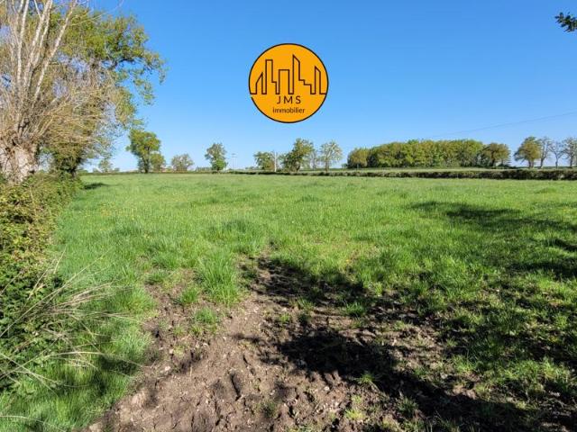 LONGERE