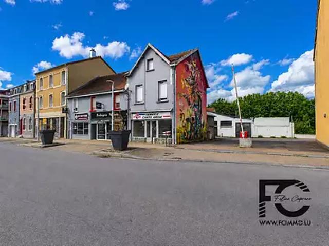 Longlaville 54810 Achat / Vente maison 9 pièces t9