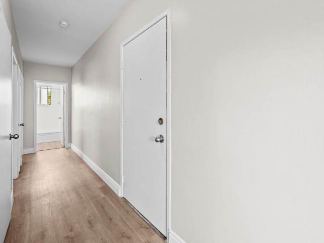 Longwood Apartments Apartment 1 Bedroom Large