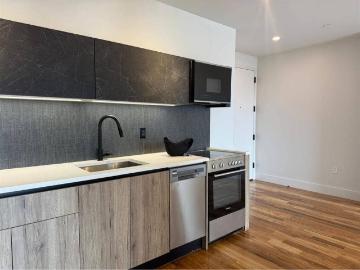 Flatbush, New York city, New York, USA