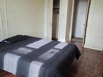 Flatbush, New York city, New York, USA