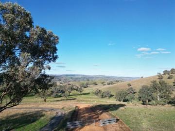 Looking for a tree change? Here it is