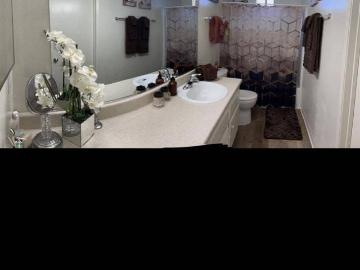 Petaluma city, Sonoma County, California, USA