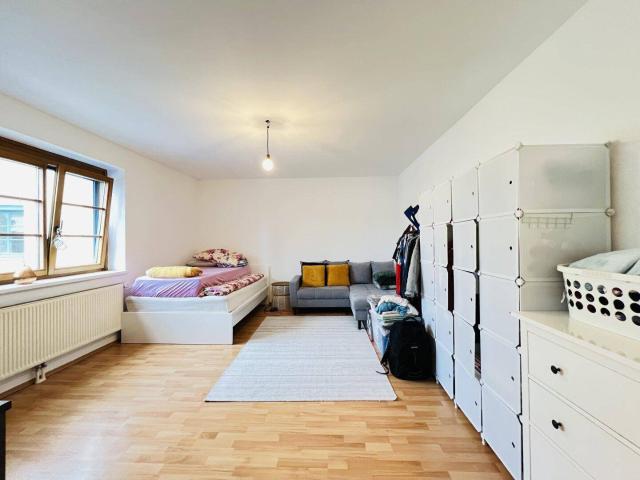 Loosdorf Zentrum: Charmante, helle Wohnung für € 495