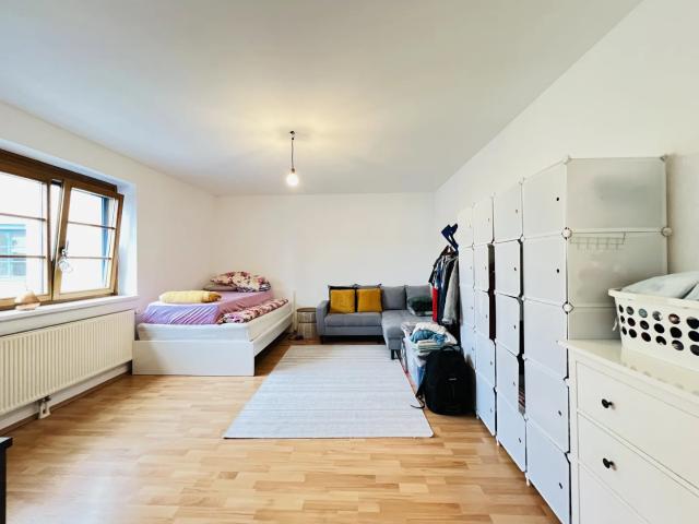 Loosdorf Zentrum: Charmante, helle Wohnung für € 495