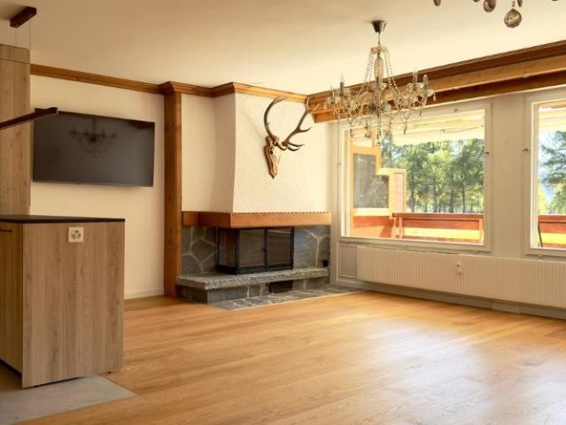 LOC 77 SAPINS ROUGES B