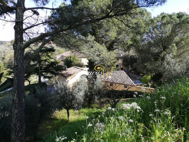 loc. Tripalle 9 vani 370mq