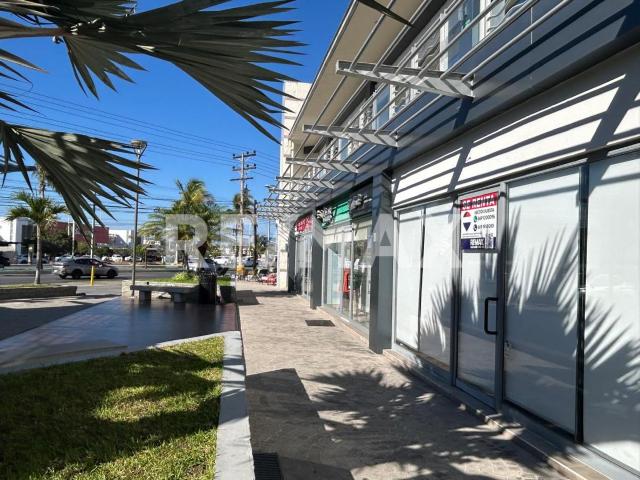 LOCAL 04 PLAZA MARES