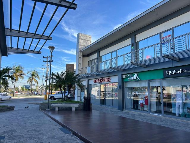 LOCAL 17 PLAZA MARES