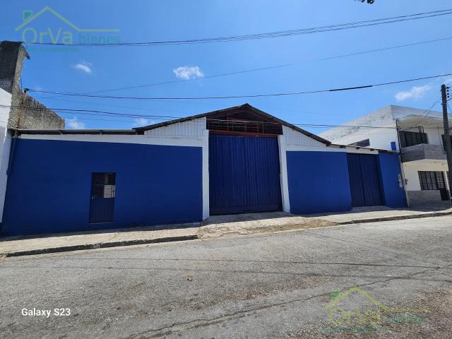 Local Tamaulipas