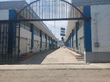Local Toluca