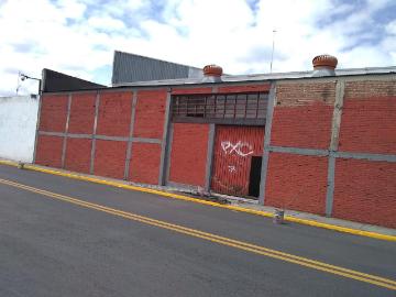Local Toluca