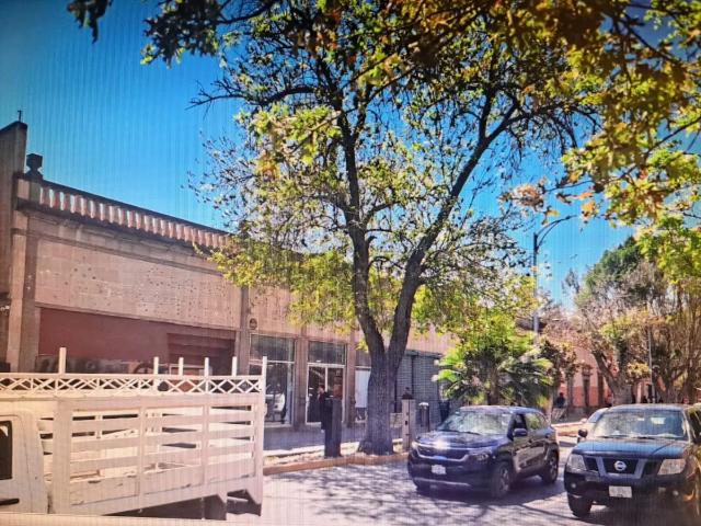 LOCAL VENTA, TEQUISQUIAPAN, SAN LUIS POTOSI, S.L.P