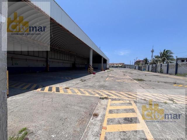 Local Veracruz
