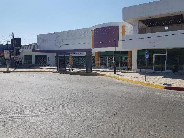 Local Xamaipak