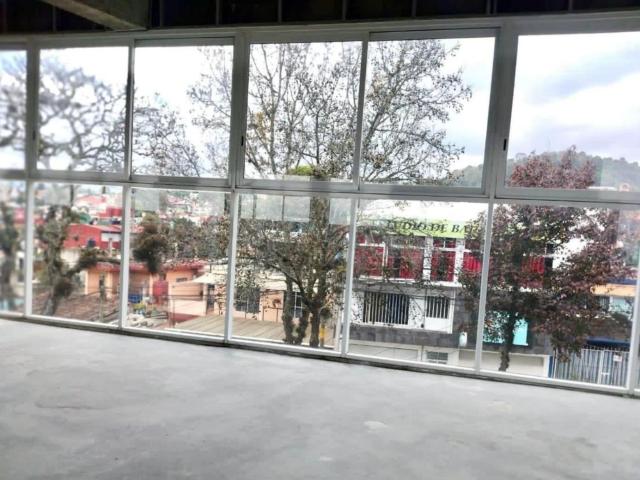 Local Xalapa