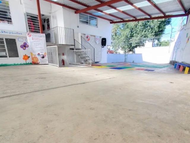 Local Xalapa