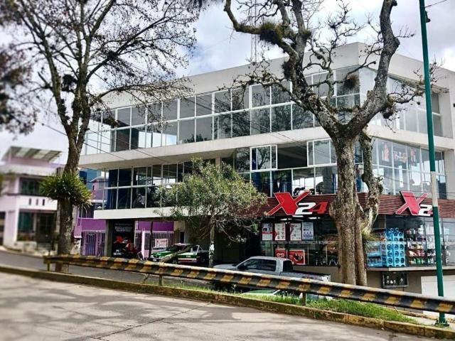 Local Xalapa
