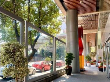 Local A Pie de Calle Renta CAD Polanco 484m2
