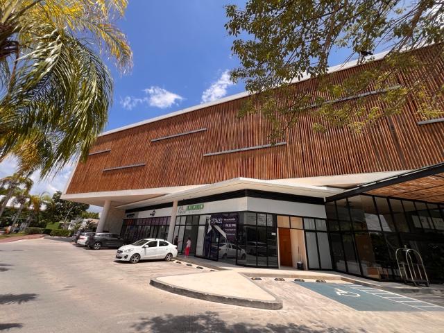 Local Arbolada