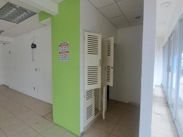 Local Av. Prolongaci?n Mu?oz