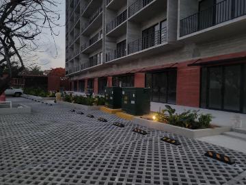 Local Canc?n Centro