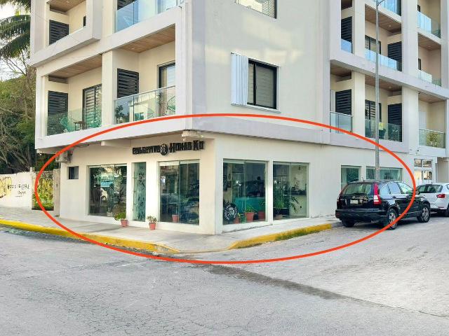 Venta Local comercial ave 10 Playa del Carmen