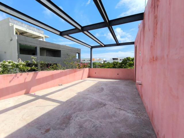Local comercial en roof top Anemona #2