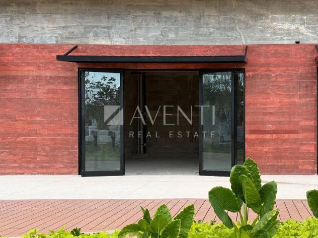 Local Comercial en Renta/Venta, Canc?n Centro, Canc?n