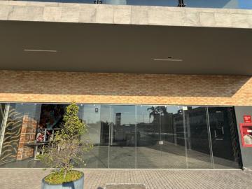 Local Comercial en Renta en Cholula, Puebla