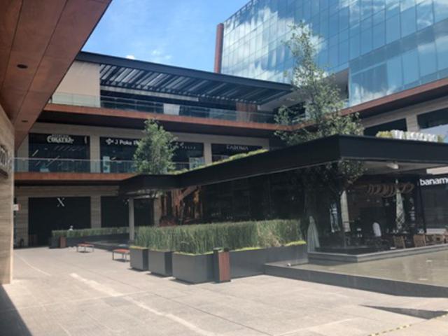 Local Comercial en Renta en Av. José Vasconcelos en San Pedro Garza García