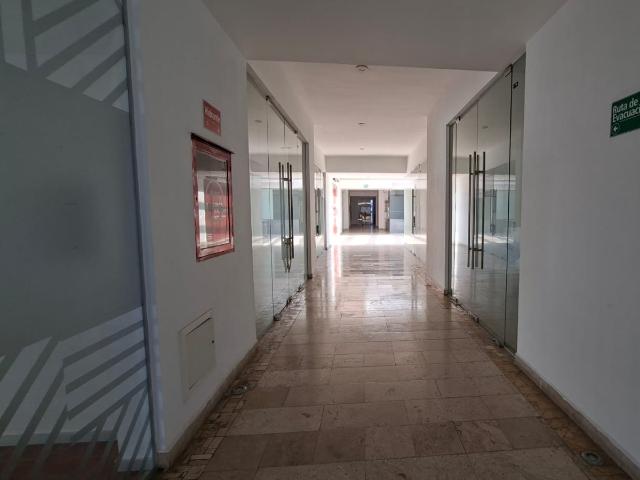 LOCAL COMERCIAL EN RENTA EN SONATA